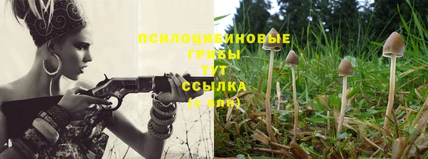 марихуана Беломорск