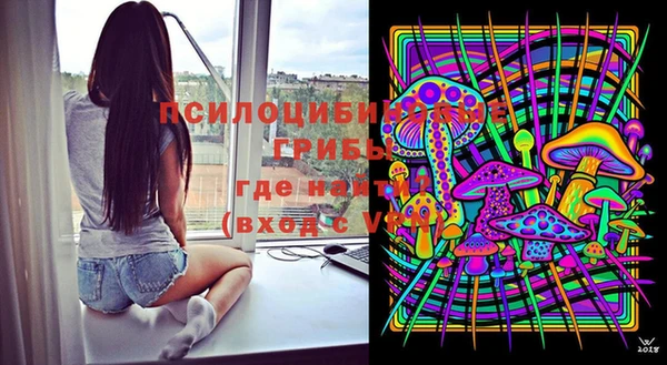 скорость Белокуриха